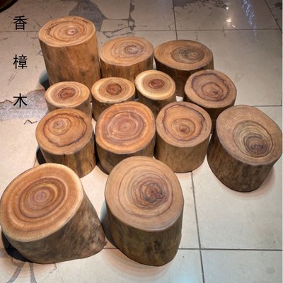 香樟木墩實木凳子原木墩子根雕坐凳樹樁木樁支架底座樹根茶幾擺件