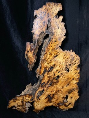 收藏 精品 紅豆杉 根 樹瘤 茶盤 古樸 原木 藝術 模型 檜木 肖楠 花器 盆栽 植物 DIY 木頭 水晶 玉 石