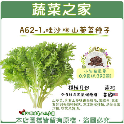 【蔬菜之家滿額免運】A62-1.哇沙咪山葵菜種子0.9克(約390顆)