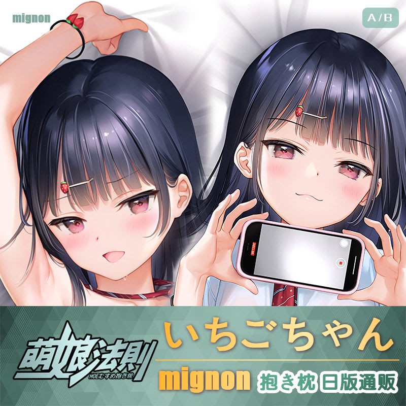 正規品 未開封 いちごちゃん抱き枕カバー mignon MIGNON WORKS-