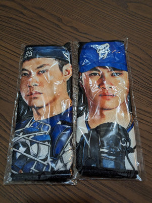 棒球 富邦悍將 涼感 毛巾 球員頭像 圖像 戴培峰 江少慶 限量商品