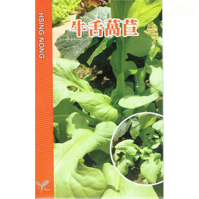 種子王國 牛舌萵苣 蔬菜種子 甜度高 適合生食 興農種苗 原包裝種子 日本進口 約0.5公克/包