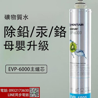 EVERPURE 愛惠浦 EVP6000主濾芯一支愛惠浦凈水器濾芯原廠