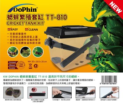 小郭水族-Dophin 海豚【蟋蟀繁殖套缸 TT-810】蟋蟀繁殖盒 昆蟲養殖箱