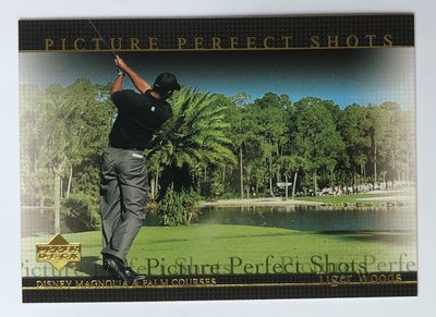 GOLF 2004 Upper Deck PICTURE PERFECT SHOTS Tiger Woods 老虎伍茲
