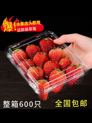一次性水果盒水果包裝塑料盒 圣女果草莓盒一斤裝透明500M水果盒