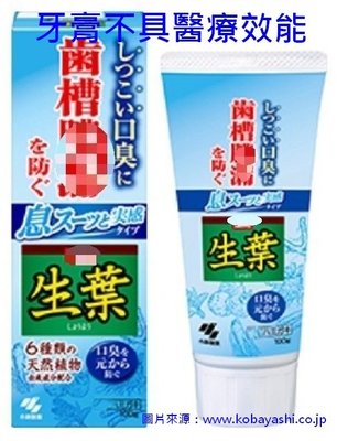 日本 小林製藥 生葉護齦牙膏 100g 新款藍色 薄荷清涼消口臭 齒槽牙周護理 牙齦牙肉保健 4987072060322