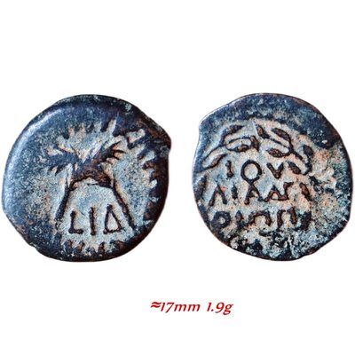 古玩錢幣收藏（可議價）猶地亞羅馬行政官安東尼菲尼克斯一普塔銅幣-公元54-60年-F9B