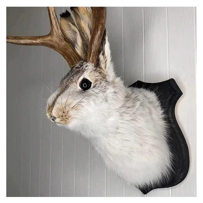 獨立站爆款鹿角兔墻飾復活節鹿頭壁掛架假兔毛茸茸動物標本錄制