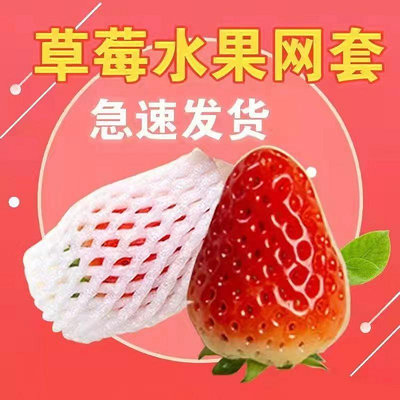 水果網套防震塑料保護櫻桃草莓枇杷李子網套泡沫發泡套袋網袋批發