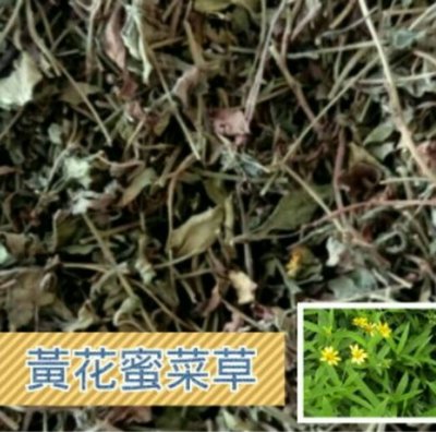 黃花蜜菜草(已裁切約4~8cm) 600g/包 ※超商取貨限600g×5包