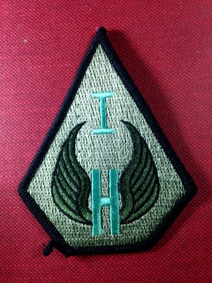 陸軍航空601旅(龍城部隊)臂章徽章(草綠)/布章 電繡 貼布 臂章 刺繡/生存遊戲