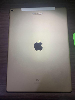 iPad Pro 12.9 1代 256GB LTE