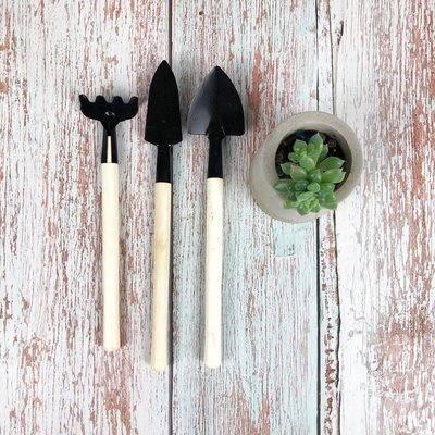 BEAGLE 迷你多功能園藝工具3件組 鏟子耙子鐵鍬 花盆栽多肉植物栽種鬆土工具