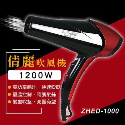 中華豪井 ZHED-1000 倩麗吹風機 護髮 吹風機 美容 美髮