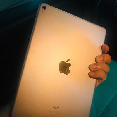 iPad Pro 32g蘋果台灣公司貨 少用狠心-灰色