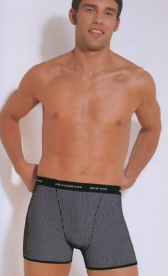 【 西班牙 New Age】 (8768)男性新潮貼身棉萊卡四角褲 (L)