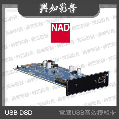 【興如】NAD DSD USB MODULE－電腦USB音效模組卡 另售 HDM-2 HDMI