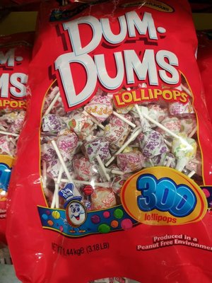 DUM DUMS 綜合口味棒棒糖