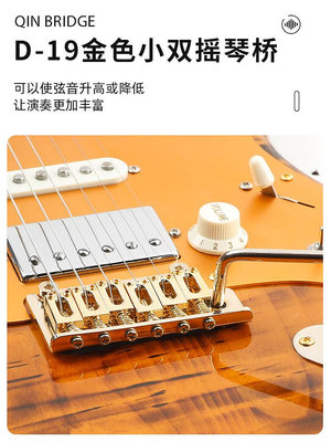 220v~電吉他D-190專業級演唱切單系統復古小雙搖吉他音箱套餐~優優精品店