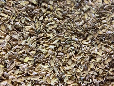 粗糠 稻殼 500公克 小份量，土壤表面鋪蓋 介質 寵物鋪窩 肥料