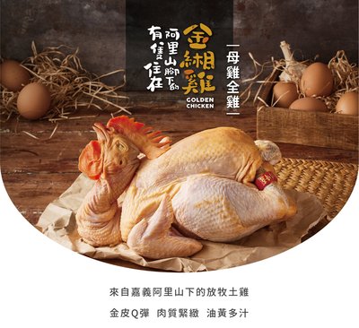 極禾楓肉舖~【金緗雞】生玉米雞(文昌雞)母 全雞2KG±10%/隻