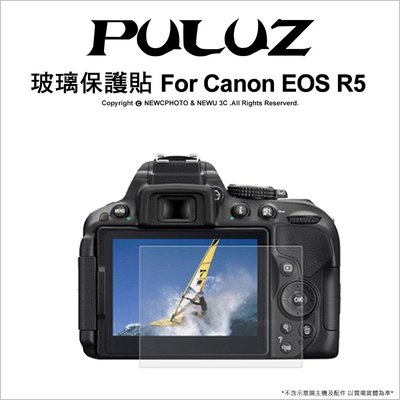 【薪創忠孝新生】胖牛 玻璃保貼Canon EOS R5 (PU5533)