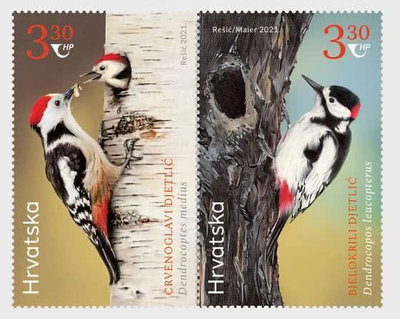 克羅埃西亞 2021.09.22 啄木鳥 與吉爾吉斯坦聯合發行 -套票2全 50元
