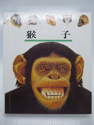 【月界二手書店2S】猴子－第一個發現系列31．精裝本（絕版）_理科出版社　〖少年童書〗CEB