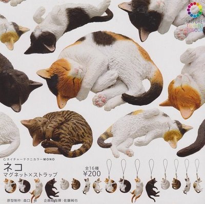 【奇蹟@蛋】IKIMON (轉蛋) NTC圖鑑-寵物貓睡姿磁鐵&amp;吊飾 全16種 整套販售  NO:4428