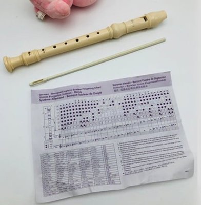 英式高音直笛 學生必備 兒童學習 國小音樂課直笛 樂器