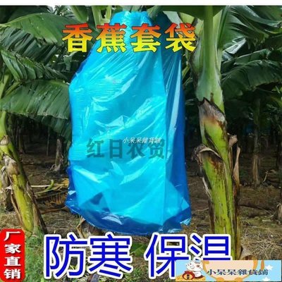 【現貨精選】香蕉套袋藍色有孔無孔定型防寒防蟲袋珍珠棉專用連體袋農用一體袋