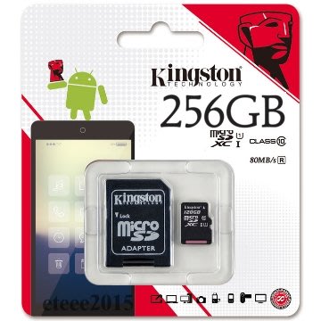 《SUNLINK》Kingston 金士頓 256G 256GB SDXC UHS-1 Class10 SD