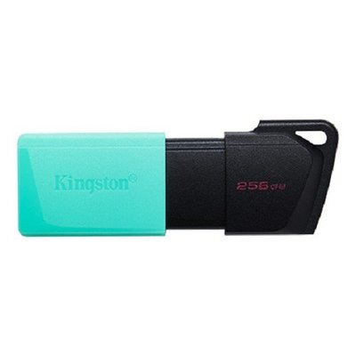 Kingston DataTraveler Exodia M 256GB USB3.2 隨身碟(黑綠)【風和資訊】