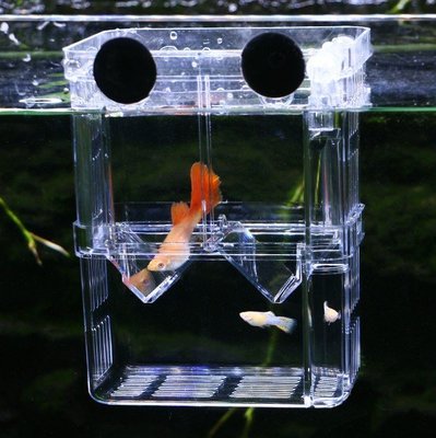 魚缸 自浮式 多功能繁殖盒 產卵房 隔離箱 淡海水適用 "M款"