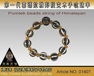 【東珠文物】 第一代喜瑪拉雅邦提克木天珠。11枚手唸珠串。01407