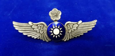 復古 空軍飛鷹胸章 徽章 資深級古銅色