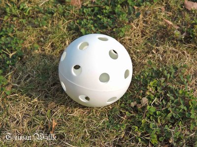 (超威教您分辨威浮球真偽)*超威*威浮球又一好物推出 洞洞球(打擊練習球)$60元 30顆球共1730元