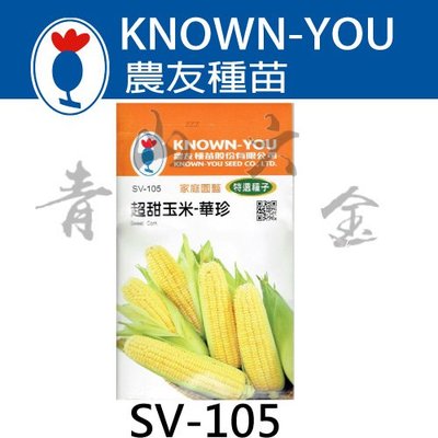 『青山六金 』附發票 農友 SV-105 超甜 玉米 華珍 蔬菜 新鮮 種子 混合色 家庭 園藝 栽培 種苗 約12克