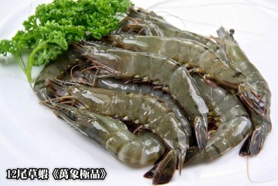 【冷凍蝦蟹類】草蝦 約 12 尾 / 約280g±5%/ 盒~殼薄肉多~肉質鮮美結實口感一流~教您做簡單易上手蔥蒜燜蝦