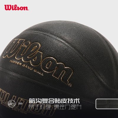 促銷打折 Wilson威爾勝專業競賽籃球男女6號7號室內專業比賽用球Evolution
