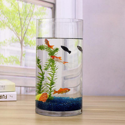 【現貨】魚缸小 玻璃 水族箱圓型創意生態缸形圓柱景金大 號烏龜 造培裝飾