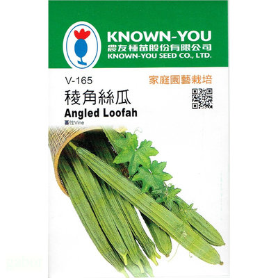 種子王國 稜角絲瓜 農友種苗 蔬菜種子 每包約6粒