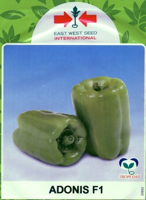【野菜部屋~】M07 泰國綠冠水果甜椒種子3粒, 青甜椒 ,皮薄 ,果肉屬中厚 ,每包15元~