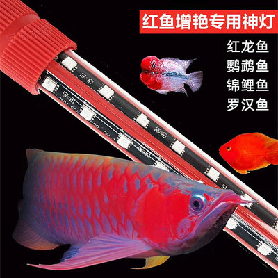 魚缸增艷神燈紅龍魚專用燈增色仟魚燈鸚鵡魚錦鯉潛水防水led紅燈Y9739