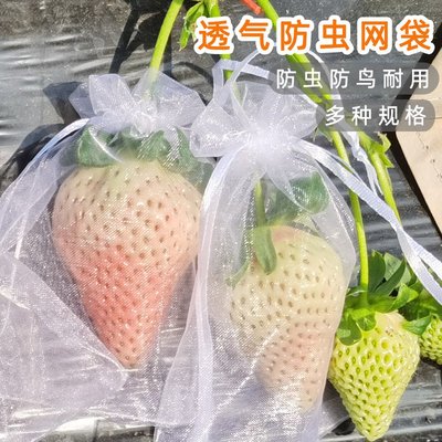 草莓防蟲袋水果套袋防鳥用網袋透氣陽臺番茄無花果葡萄*特價