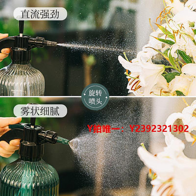 噴水壺噴水壺氣壓式高壓澆水家用消毒壓力噴霧器養花專用園藝工具羅馬款
