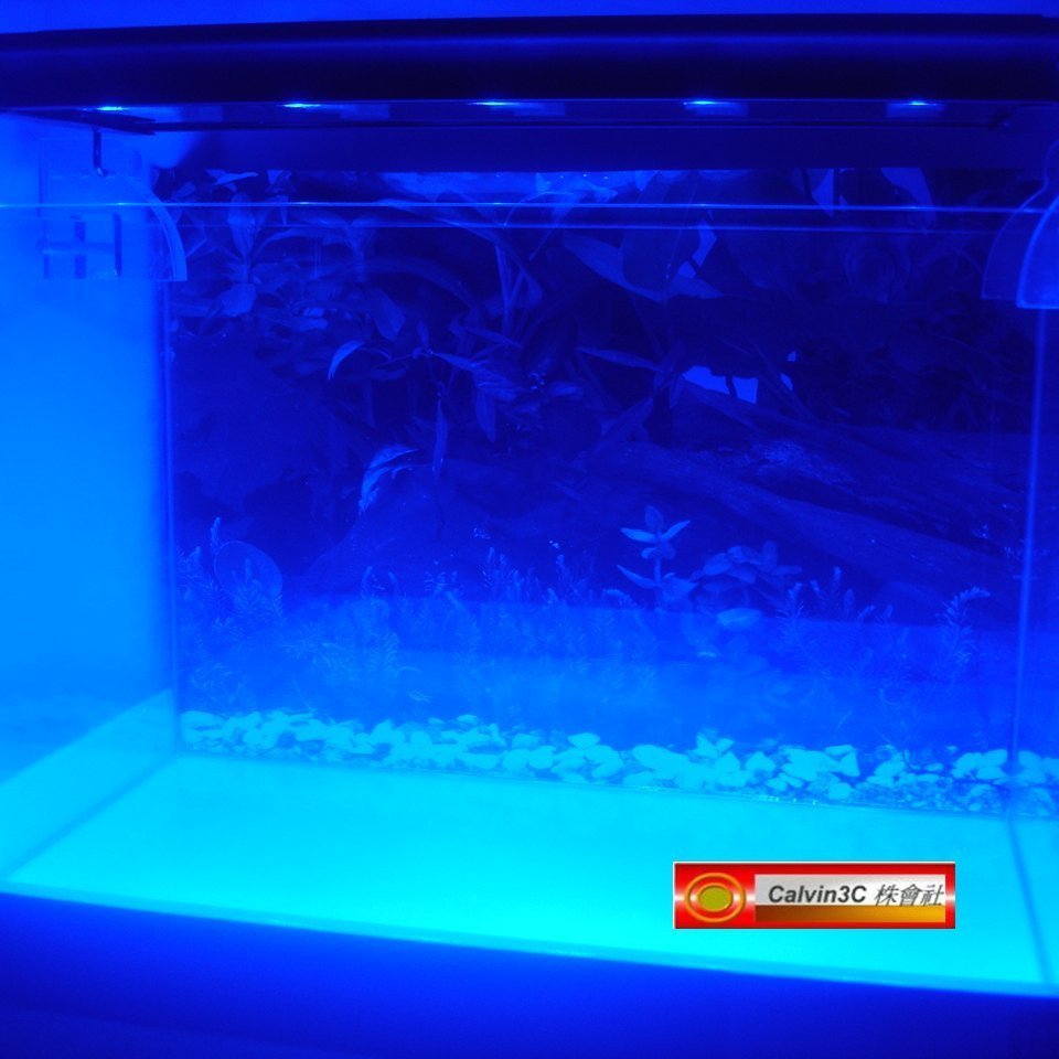 專業led 水族燈智慧型內建藍芽遠端遙控手機app 定時45w 超高功率超高亮度海水魚水草珊瑚魚 Yahoo奇摩拍賣