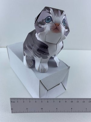 折耳貓 紙模型 成品 可愛動物 紙紮 現貨