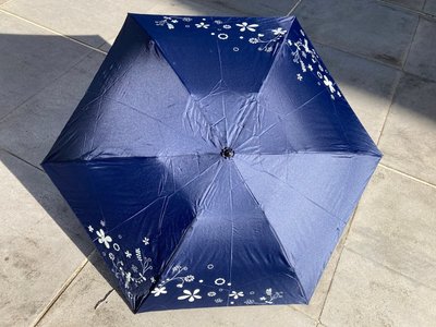 【Shine】羽量級超輕傘 / 碳纖維傘骨 / 透明抗UV傘布 / 學童攜帶無負擔 / 與Leighton萊登傘同材質